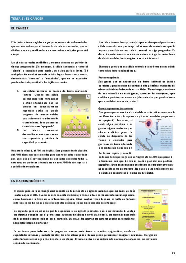 Miniatura del documento Onco-Tema-2.pdf