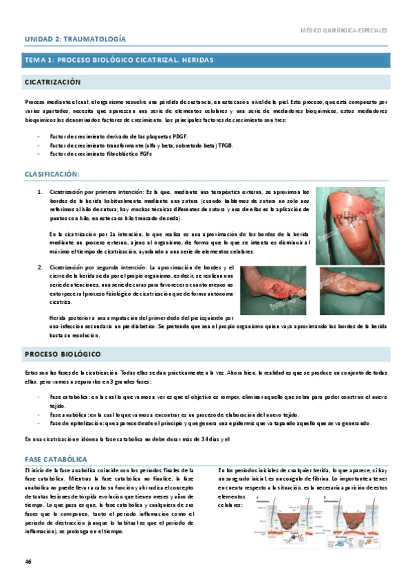 Miniatura del documento Trauma-Tema-1.pdf