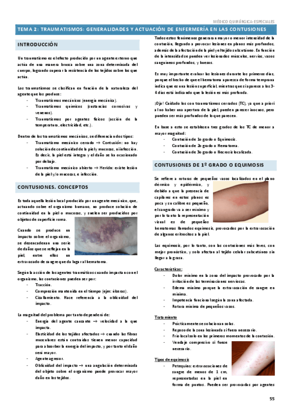 Miniatura del documento Trauma-Tema-2.pdf