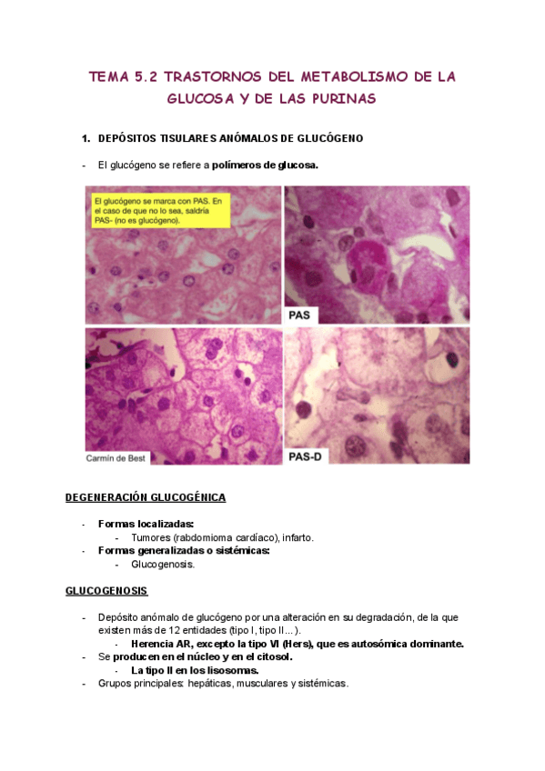 Miniatura del documento Tema-5.2.pdf