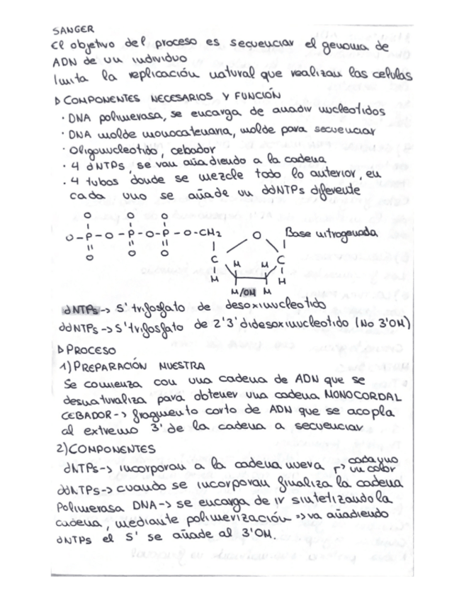 Miniatura del documento Esquema-resumen-parcial-1.pdf