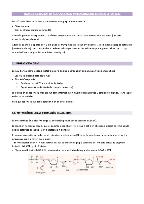 Miniatura del documento BQM-Segunda-parte.pdf