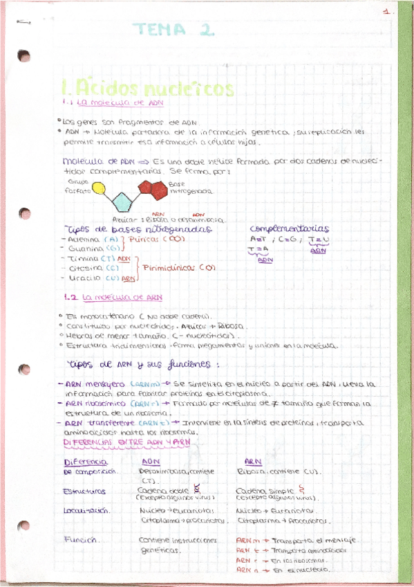 Miniatura del documento Biologia-tema-2-Acidos-nucleicos.pdf