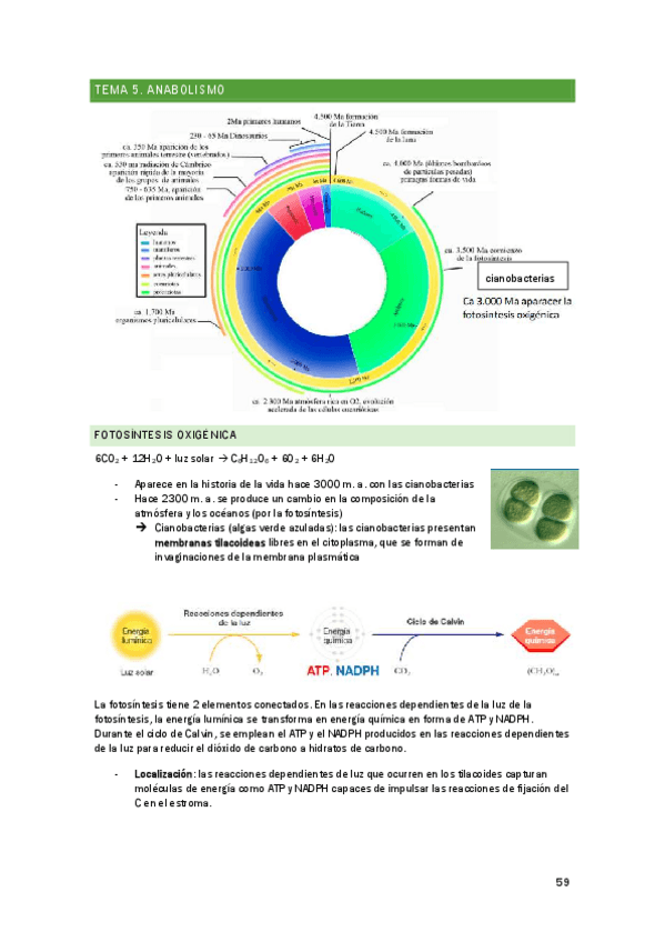 Miniatura del documento Apuntes-Biologia-Segunda-Mitad.pdf