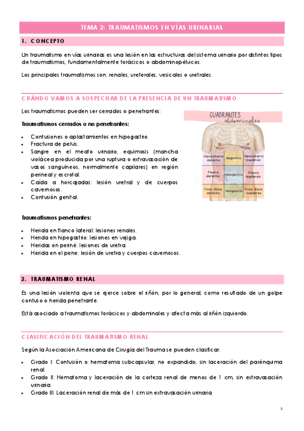 Miniatura del documento TEMA-2-TRAUMATISMOS-EN-VIAS-URINARIAS.pdf
