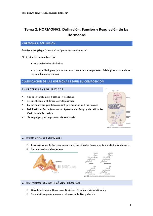 Miniatura del documento Tema-2-ENDOCRINO.pdf