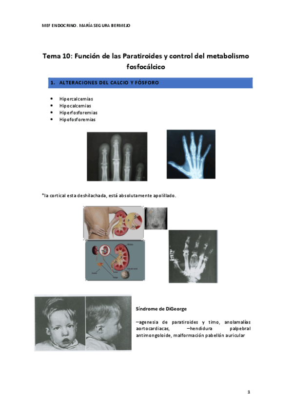 Miniatura del documento T.10-ENDOCRINO.pdf