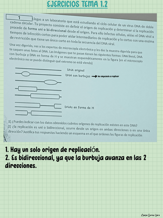 Miniatura del documento ejercicios-clase-tema-2.pdf