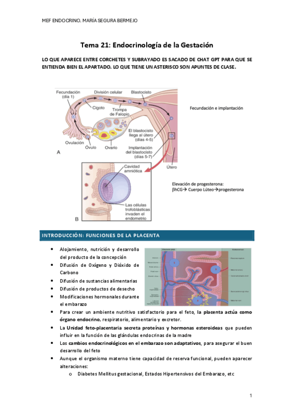 Miniatura del documento T.21-ENDOCRINO.pdf