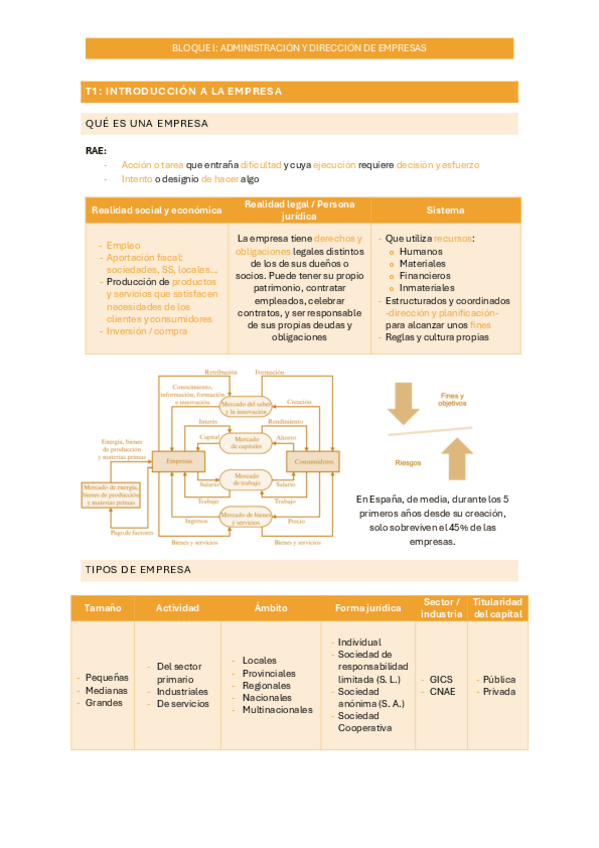 Miniatura del documento T1.-Introduccion-y-Direccion-de-empresas.pdf
