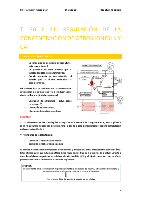 Miniatura del documento T.30-Y-31-RENAL.pdf