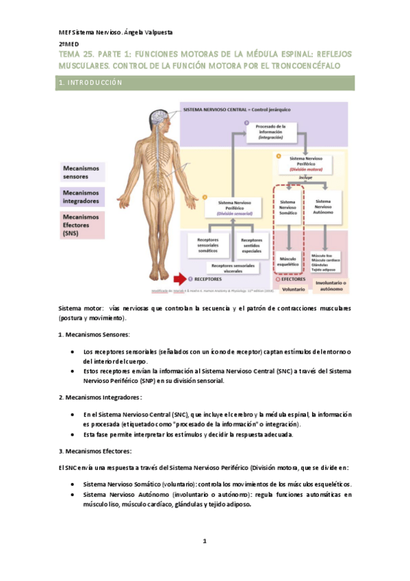 Miniatura del documento T.-25-NEURO-parte-1.pdf