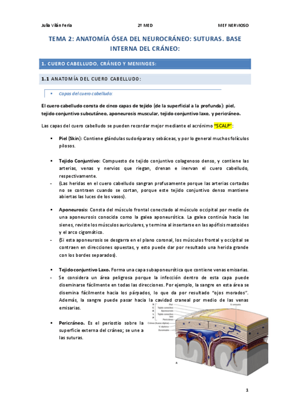 Miniatura del documento T.2-NERVIOSO-Osteologia.pdf