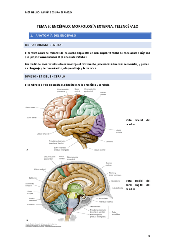 Miniatura del documento T.5-NEURO.pdf