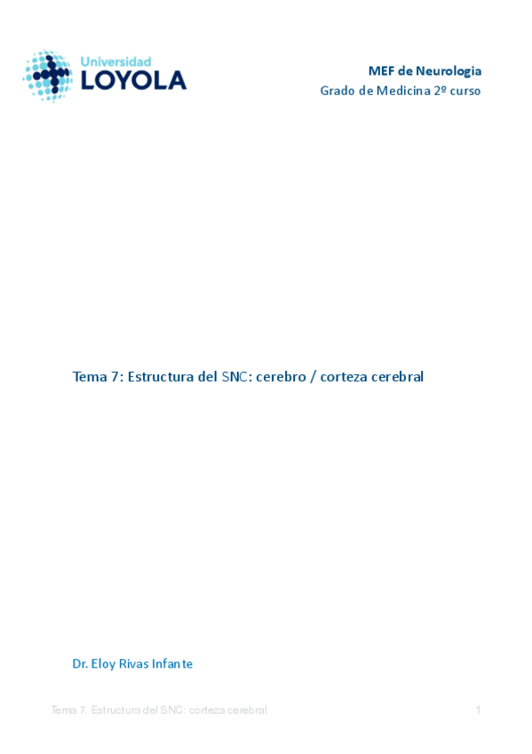 Miniatura del documento T.7-Histologia-Estructura-del-SNC-cerebro-corteza-cerebral-1.pdf