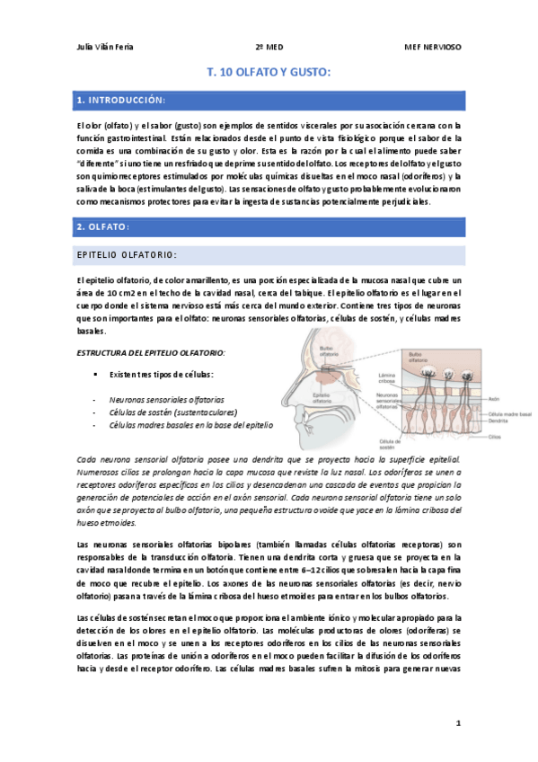 Miniatura del documento T.10-NERVIOSO-Olfato-y-gusto.pdf
