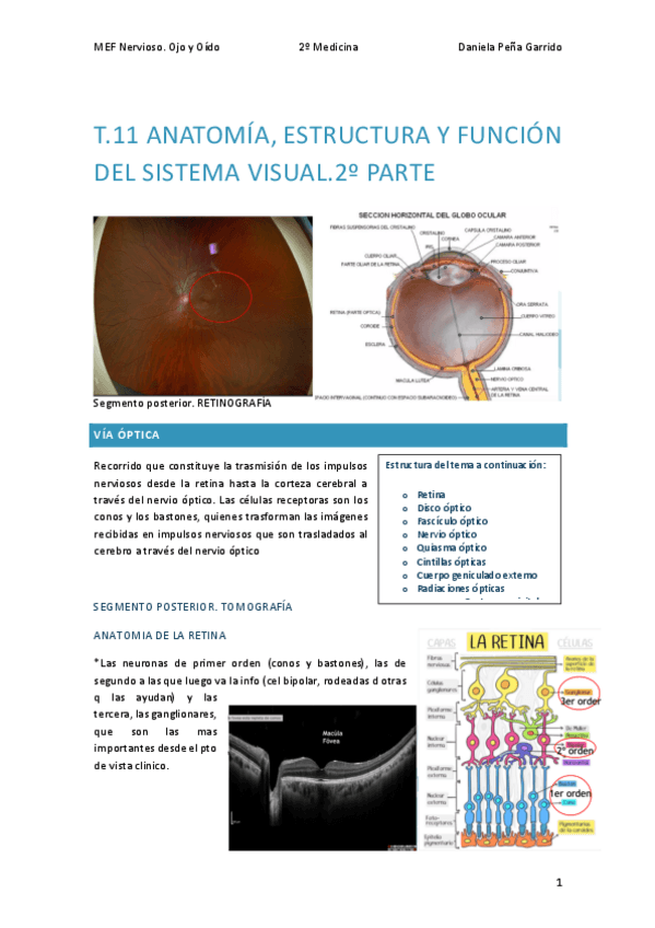 Miniatura del documento T.11-CONTINUACION-NERVIOSO.pdf