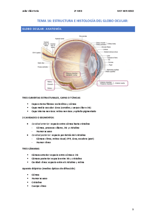 Miniatura del documento T.16.pdf