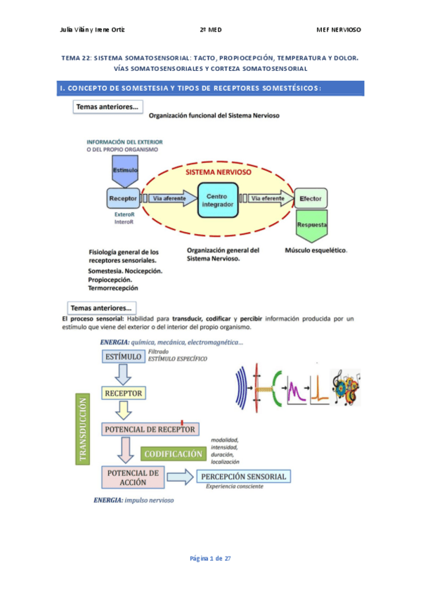 Miniatura del documento T.22-FISIO-NEURO.pdf