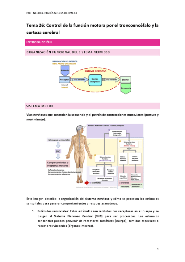 Miniatura del documento T.26-FISIO-NEURO.pdf