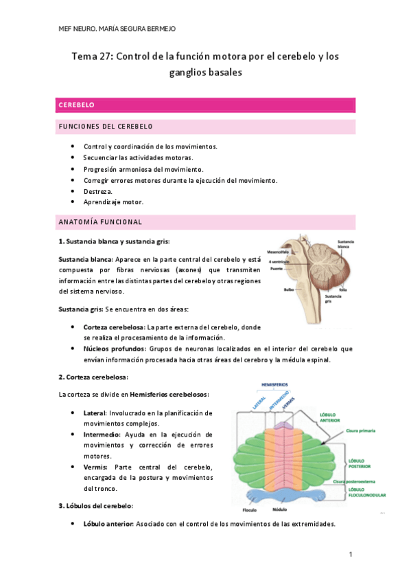 Miniatura del documento T.27-FISIO-NEURO.pdf