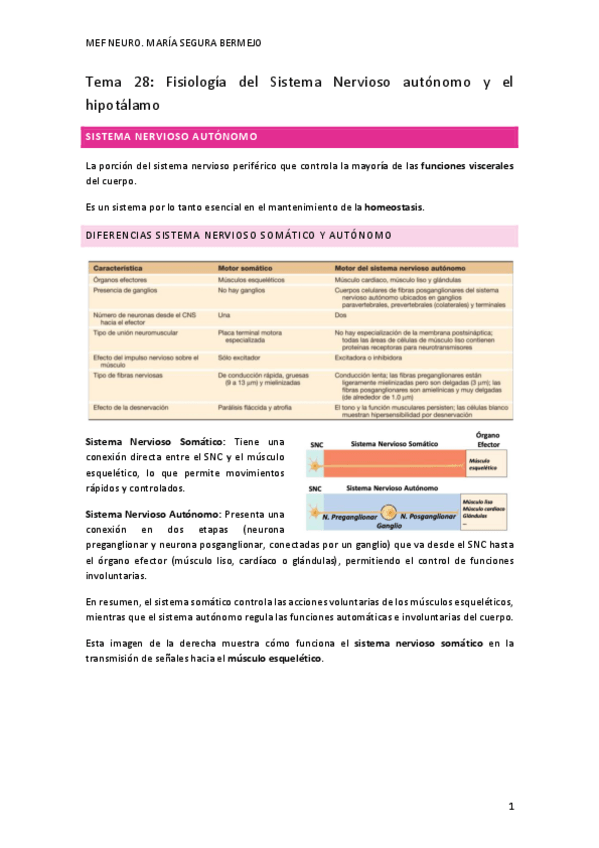 Miniatura del documento T.28-FISIO-NEURO.pdf