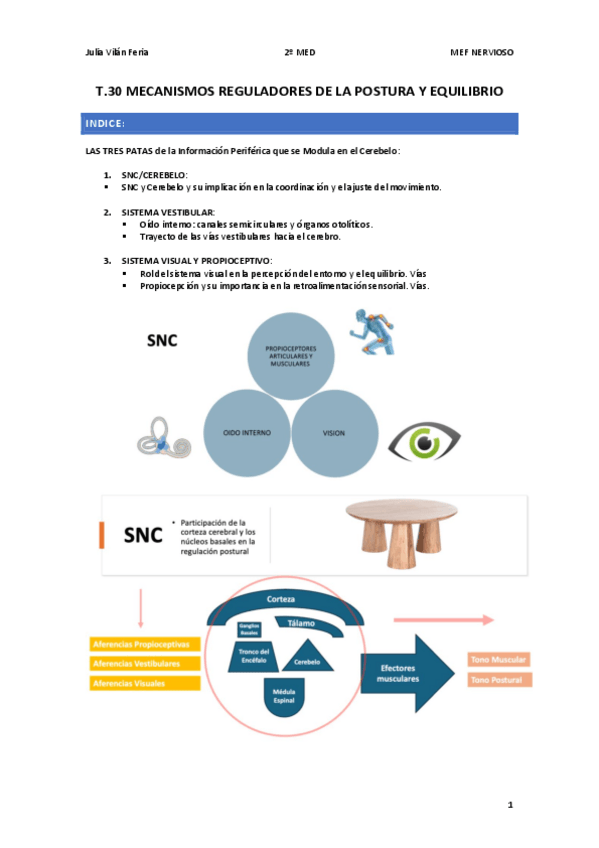 Miniatura del documento T.30-FISIO-NEURO.pdf