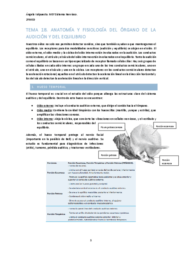 Miniatura del documento Tema-18-anatomia-y-fisiologia.pdf