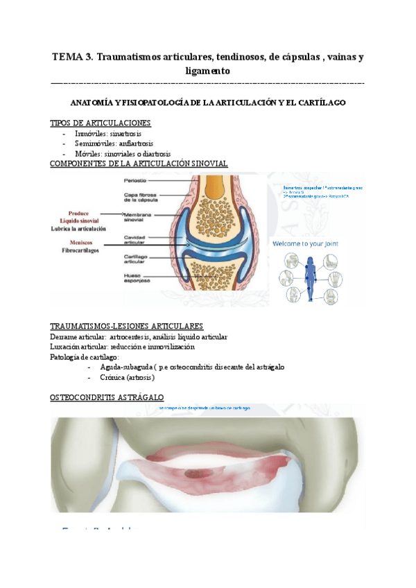Miniatura del documento TEMA-3-Traumatismos-articulares-tendinosos-de-capsulas-vainas-y-ligamento.pdf