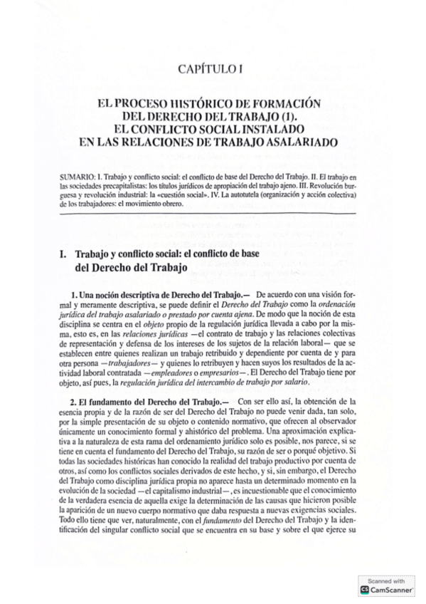 Miniatura del documento Capitulo-1-parcial-Palomeque.pdf