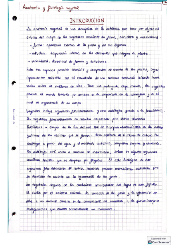 Miniatura del documento Anatomia.pdf