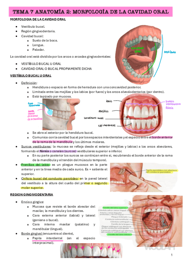 Miniatura del documento T7.pdf