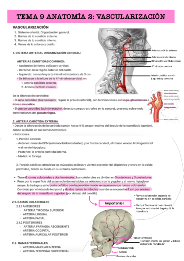 Miniatura del documento T9-Y-T10.pdf