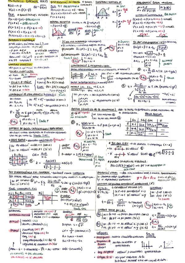 Miniatura del documento formulari-bioestadistica-TOT.pdf