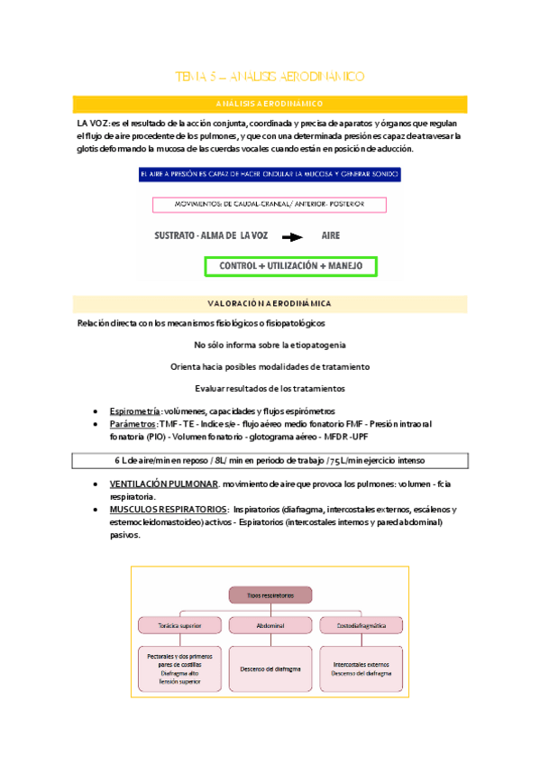 Miniatura del documento TEMA-5.-mio-voz.pdf