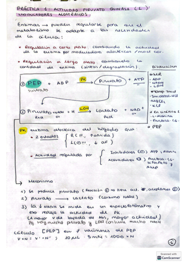 Miniatura del documento Resumenes-practicas-BQ-II-25-26.pdf