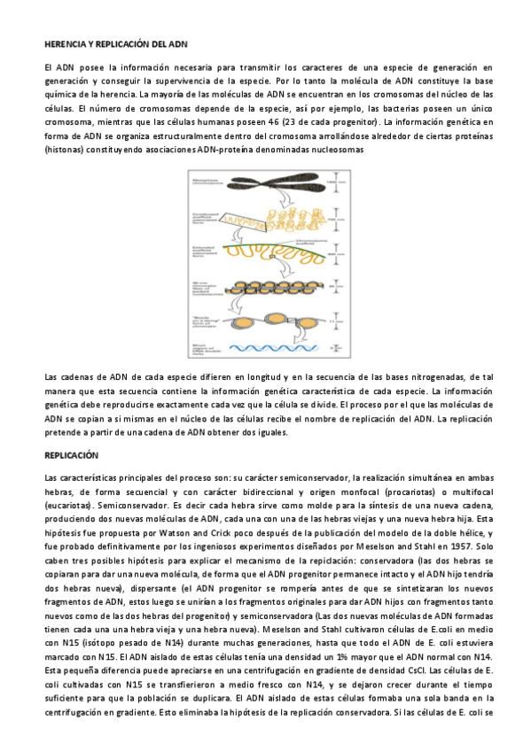 Miniatura del documento Herencia-y-replicacion-del-ADN.pdf