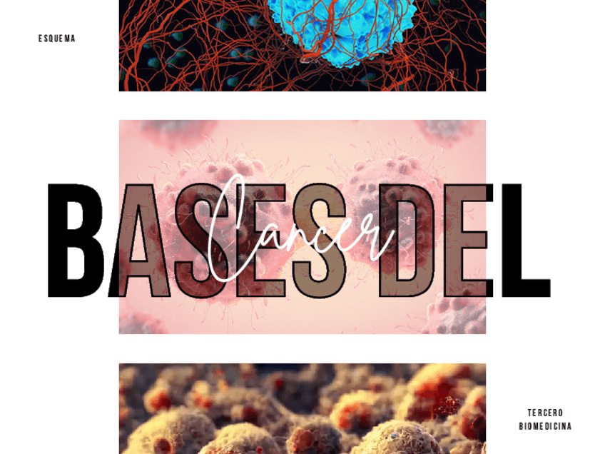 Miniatura del documento ESQUEMA-GRAFICO-CANCER.pdf