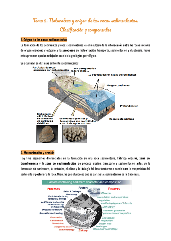 Miniatura del documento Tema-2Naturaleza-y-origen-de-las-rocas-sedimentarias.-Clasificacion-y-componentes.pdf