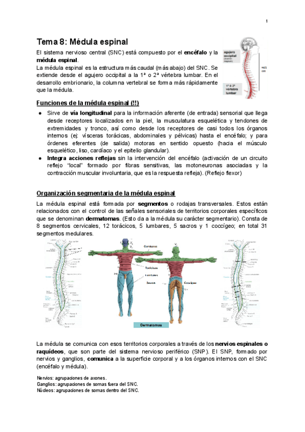 Miniatura del documento Temas-8 al 17.pdf.pdf