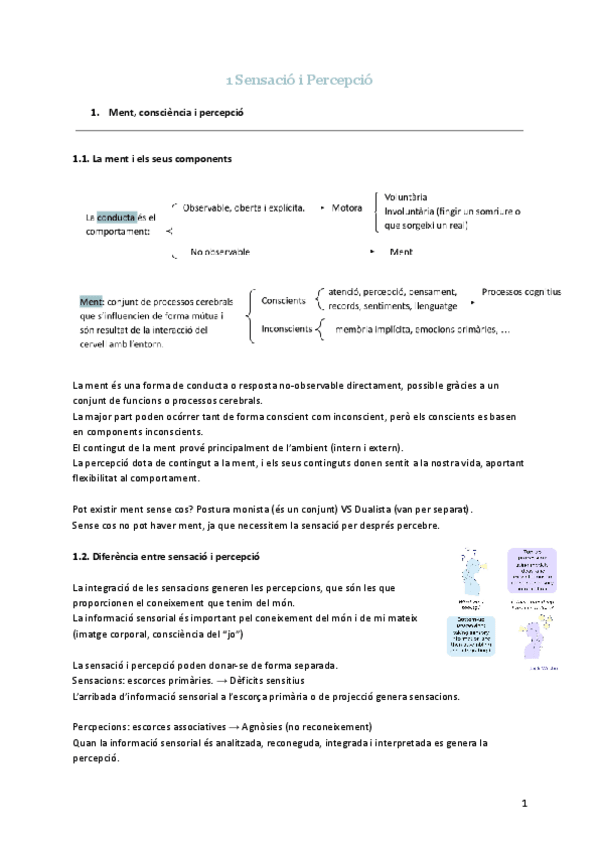 Miniatura del documento 1-Sensacio-i-Percepcio.pdf