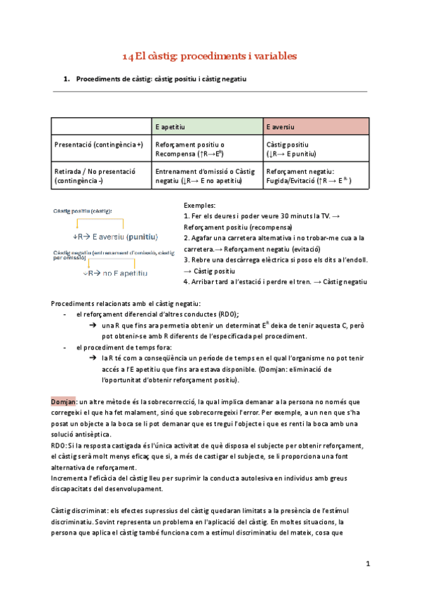 Miniatura del documento Tema-14-El-castig-procediments-i-variables.pdf