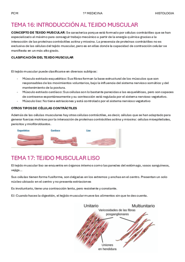 Miniatura del documento TEMA-16-histologia.pdf