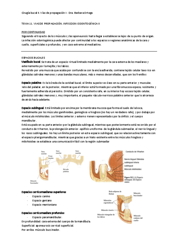 Miniatura del documento Tema-11.pdf