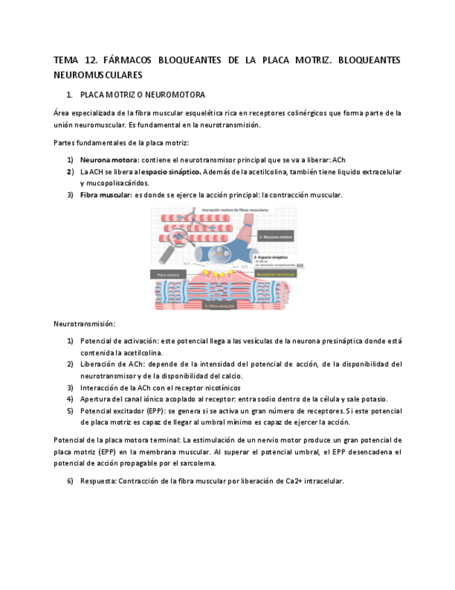 Miniatura del documento tema-12.pdf