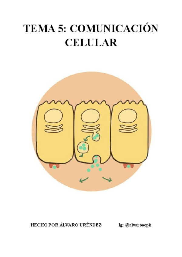 Miniatura del documento BIOLOGIA-CELULAR-TEMA-5-COMUNICACION-CELULAR.pdf