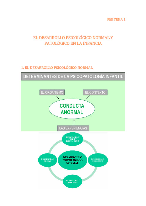 Miniatura del documento PEIJ-TEMA-1.pdf