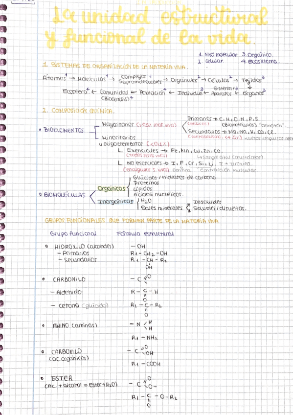 Miniatura del documento La-unidad-estructural-y-funcional-de-la-vida-1BACH.pdf