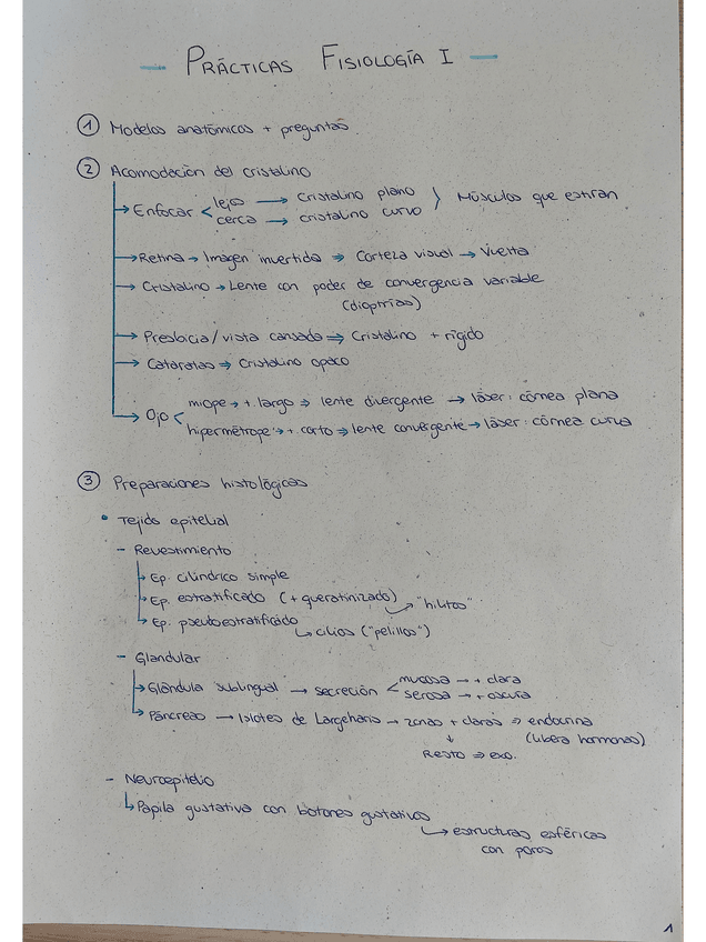 Miniatura del documento Resumen-practicas.pdf