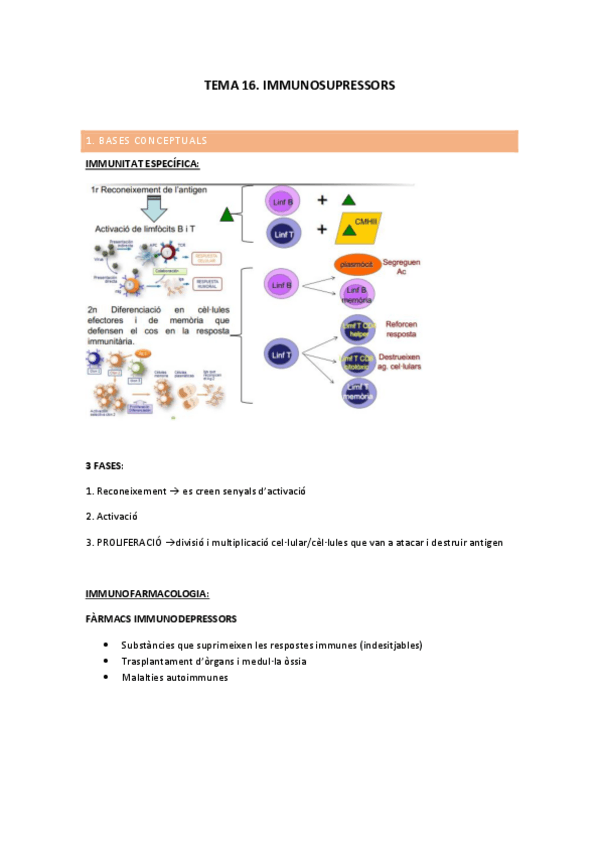 Miniatura del documento TEMA-16.-APUNTS.pdf